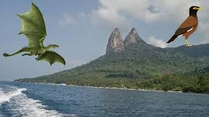Nah, salah satunya yang bisa kamu simak di sini adalah cerita legenda rawa pening. Asal Usul Dan Sejarah Pulau Tioman Negeri Pahang