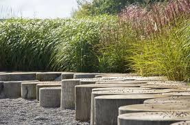 Wohnuberbauung Riedpark Zug Detail Und Bepflanzung Outdoor Landscaping Landscape Easy Landscaping