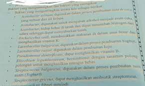 10 Macam Virus Yg Menguntungkan Dan Merugikan Dan Jelaskan Brainly Co Id