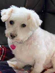 Poppy and Gus are now fully settled and in charge 🥰