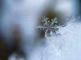 Decorative Shape Of Ice Photography By Aaron Burden Winter Pictures Amazing Macro Photography Macro Photography