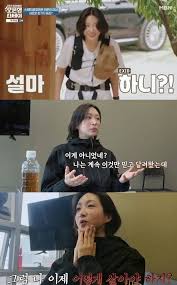 뉴시스 - News update