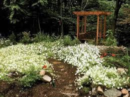 We did not find results for: Downsize Simplify To Ease Your Garden Workload Lifestyle Archive Jamaica Gleaner