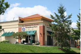 Are pets allowed at loews royal pacific resort? All American Pet Resort Reviews Dog Walkers At 4227 Delemere Blvd Royal Oak Mi