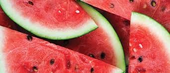 Watermelon and others plant foods that trigger headache in migraine patients. A Guide To Growing Watermelons Palmers Garden Centre