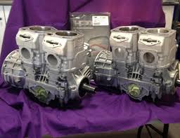 Rotax 900 Ace Engine Best Fuel Economy - Intrepid Snowmobiler
