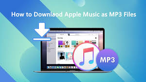 There are many reasons for finding the closest apple store to you. How To Get Mp3 Files From Apple Music