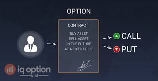 We did not find results for: What Are Options And How Do You Trade Them A Detailed Explanation Iq Option Wiki