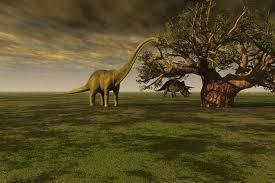 Cartoni animati dinosauri italiano, cartoni animati per bambini piccoli. Dinosauri Erbivori Elenco Nomi Schede Curiosita Video