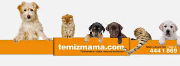 Micho Kedi Mamasi Ve Mito Kedi Mamasi Temizmama Suzionline