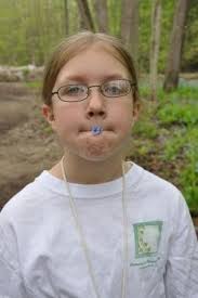 CANANDAIGUA BOTANICAL SOCIETY . . . . Celebrating 151 years in 2025:  Bluebells at Mertensia Park