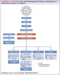 Home life health & family vital: Echocardiographic Findings In Pediatric Multisystem Inflammatory Syndrome Associated With Covid 19 In The United States Sciencedirect