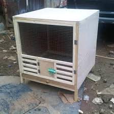 Salah satunya dalam video berikut ini, di mana saat kakek salah membuka pintu, bocah 2 tahun yang harus menanggung. Jual Produk Kandang Macan Merpati Termurah Dan Terlengkap Agustus 2021 Bukalapak