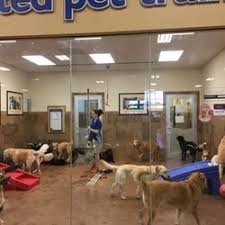 Maybe you would like to learn more about one of these? Petsmart With Pet Hotel Near Me Online