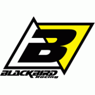 Download holden racing team logo. Blackbird Racing Brands Of The World Download Vector Logos And Logotypes