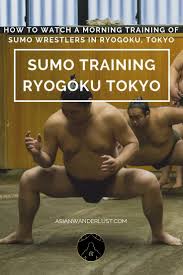 Sumo Wrestling Tokyo How To Watch The Morning Training At Ryogoku Sumo Wrestler Tokyo Japan Travel