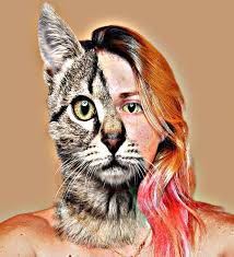 1588, black chalk, 37⁄16 x 211⁄16. Pin By Amy Dot On Art Photoshop Designs Metamorphosis Art Hybrid Art Animal Art Projects