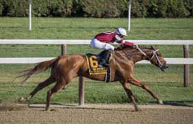 The size of the purse and the percentage earned by the jockey varies, but it is a relatively small cut. Investors And Founders Take The Jockey Over The Horse By Marti Sanchez Medium