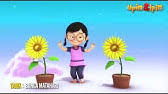 Orked sufi in lekerland 107.464. Download Upin Ipin Bunga Matahari Mp3 Free And Mp4