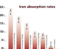 salus floradix liquid iron formula in singapore