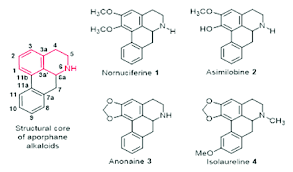 Maybe you would like to learn more about one of these? Basic Structure Of Aporphine Alkaloids With Its Systematic Numbering Download Scientific Diagram