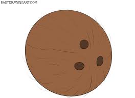 How to draw a coconut. How To Draw A Coconut Easy Drawing Art