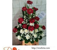 Check spelling or type a new query. Jual Bunga Murah Toko Bunga Bandung