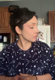 Descubriendo a los Opossum: La Vida de la Fiesta