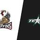 Grand Rapids Griffins at Texas Stars