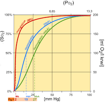 File Fetal Hemoglobin Chart Jpg Wikipedia