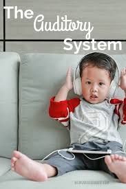 You can run these simple activities with teenagers of any level, or sometimes even kids and adults, and will always have. What Is The Auditory System And Sensory Processing