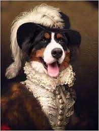 Maybe you would like to learn more about one of these? 250 Funny Pet Costumes Ideas Pet Costumes Funny Pet Costumes Cute Animals