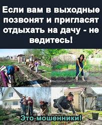 🤩🤩🤩В точку! #юмор #бобруйскньюс #дача #лето2023 #bobruisknews