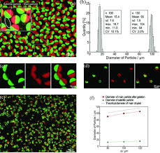 Fabricated Janus Particles Size Control And Size