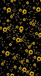 Sunflowers the field reflections blur focus. Download Sunflower Wallpaper Hd By Noelbarrios0912 Wallpaper Hd Com