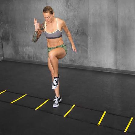 Agility ladders