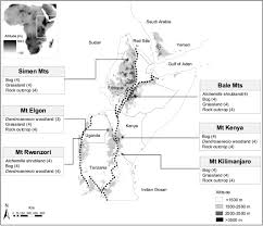 Image result for Oreophyton falcatum