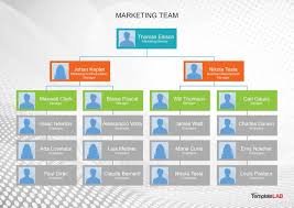 Free Downloadable Organizational Chart Template