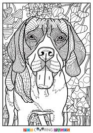 Free Printable Beagle Coloring Page Available For Download Simple And Detailed Versions For Adults And In 2020 Dog Coloring Page Animal Coloring Pages Coloring Pages