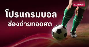 Siamsport - News update