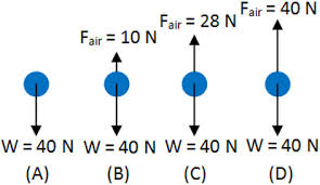 Free Fall Excel Physics