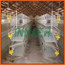 Bird Cage For Sale Craigslist Good Quality Cheap Commercial Rabbit Cages For Sale Buy Rabbit Cages Comercial Rabbit Cages Cheap Rabbit Cages Produ In 2020 Rabbit Cages Cages For Sale Meat Rabbits