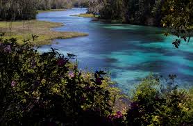 The water is so clear that you can see 100 feet ahead of you sometimes. Rainbow River Tour Paddleboard Kayak And Swim With A Manatee In Crystal River Florida