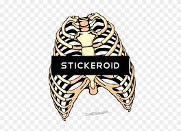 Maybe you would like to learn more about one of these? Rib Cage Human Rib Cage Free Transparent Png Clipart Images Download