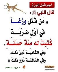 Pin By Amina Amina On أحاديث In 2021 Islamic Quotes Ahadith Duaa Islam