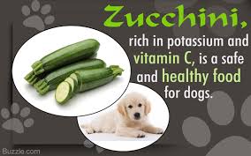 Can dogs eat cooked zucchini and other zucchini products? Is Zucchini Good For Dogs Pasteurinstituteindia Com