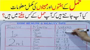 Depression can be triggered by an accumulation of stresses in our social, physical and emotional lives. How To Calculate Pregnancy Week In Urdu How To Check Pregnancy Month Pregnancy City