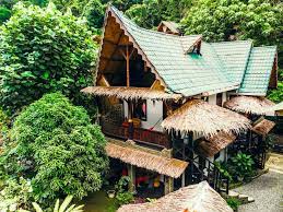 It is useful for headaches, joint pain, muscle pain, and nerve pain, and is a general pain reliever for all uses. Jungle View Room Ecotravel Cottages Bukit Lawang Sumatra