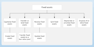 Fixed Assets Business Process Fixed Asset Microsoft Nav