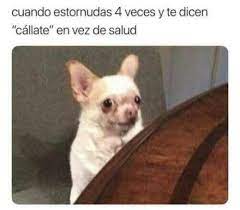 Pin De Ari En Memes V Memes Divertidos Meme Gracioso Memes Graciosos